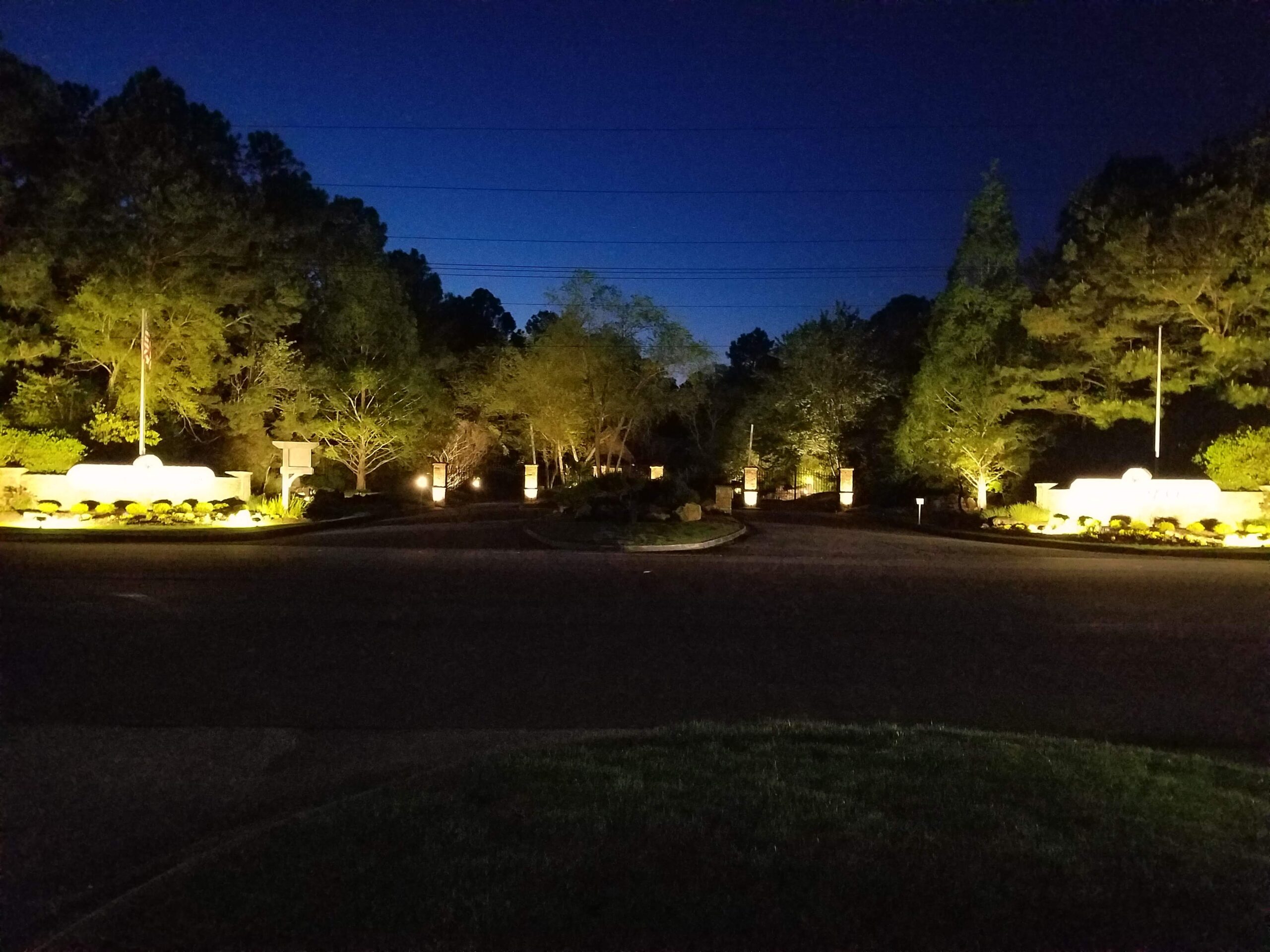tree lighting