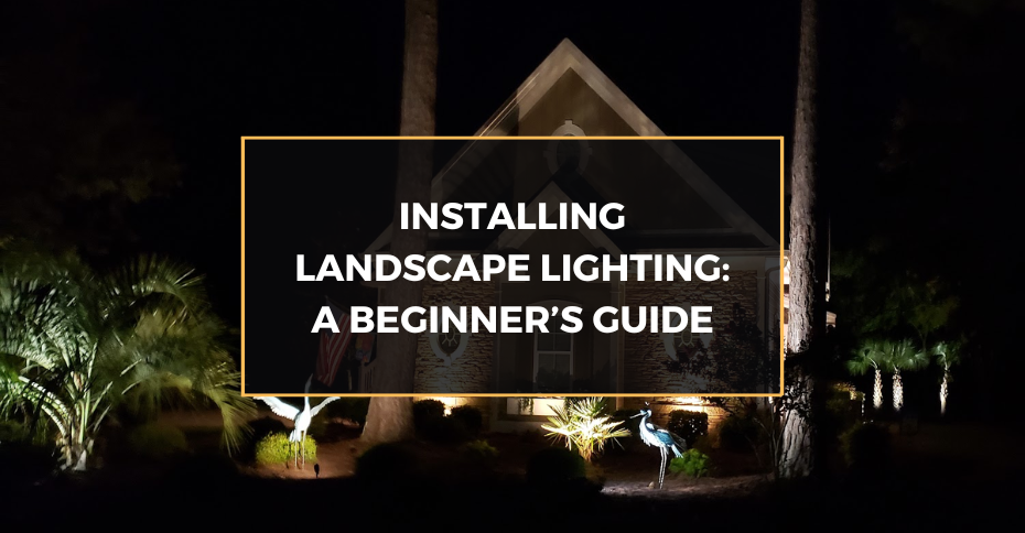 Installing Landscape Lighting: A Beginner’s Guide