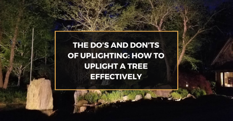 The Do’s and Don’ts of Uplighting: How to Uplight a Tree Effectively