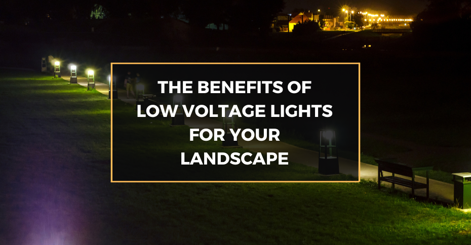The Benefits of Low Voltage Lights for Your Landscape