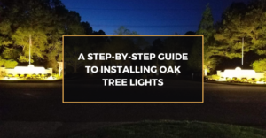 A Step-by-Step Guide to Installing Oak Tree Lights