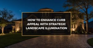 How to Enhance Curb Appeal with Strategic Landscape Illumination